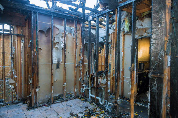 Professional Odor Removal technician working in Clinton, KY
