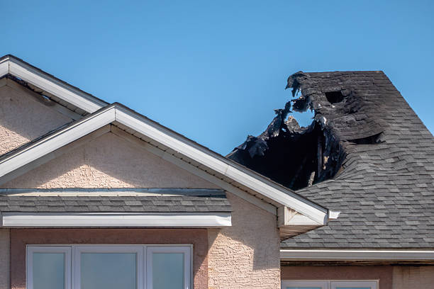 Top rated local Odor Removal specialists in Clinton, KY